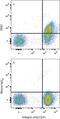 Coagulation Factor II Thrombin Receptor antibody, MAB3855, R&D Systems, Flow Cytometry image 