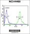 DENN Domain Containing 1B antibody, 55-155, ProSci, Immunofluorescence image 
