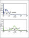 Apurinic/Apyrimidinic Endodeoxyribonuclease 2 antibody, LS-C156401, Lifespan Biosciences, Flow Cytometry image 