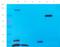 Hydroxysteroid 17-Beta Dehydrogenase 3 antibody, orb5476, Biorbyt, Western Blot image 