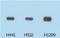Serine/Threonine Kinase 11 antibody, ab15095, Abcam, Western Blot image 