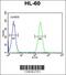 BCL6 Corepressor Like 1 antibody, 55-463, ProSci, Flow Cytometry image 