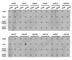 Histone H3.1t antibody, A2364, ABclonal Technology, Dot Blot image 
