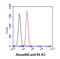 Amphiregulin antibody, GTX57585, GeneTex, Flow Cytometry image 