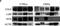 Ldc antibody, NBP1-87726, Novus Biologicals, Western Blot image 