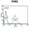 Rho GTPase-activating protein 17 antibody, abx025893, Abbexa, Flow Cytometry image 