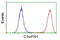 Uncharacterized protein C1orf161 homolog antibody, LS-C172867, Lifespan Biosciences, Flow Cytometry image 