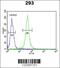 Forkhead Box C1 antibody, 63-697, ProSci, Flow Cytometry image 