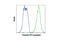 Vimentin antibody, 12020S, Cell Signaling Technology, Flow Cytometry image 