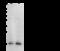 H2A Histone Family Member X antibody, 101529-T40, Sino Biological, Western Blot image 
