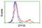 ZFP36 Ring Finger Protein antibody, LS-C172648, Lifespan Biosciences, Flow Cytometry image 