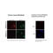 Thymopoietin antibody, IQ175, Immuquest, Immunofluorescence image 