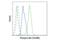 Akt antibody, 13038S, Cell Signaling Technology, Flow Cytometry image 
