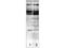 Caspase 2 antibody, TA319496, Origene, Western Blot image 