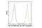 CD11b antibody, 41249S, Cell Signaling Technology, Flow Cytometry image 