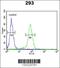 Claudin-8 antibody, 63-844, ProSci, Flow Cytometry image 