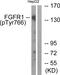 Fibroblast Growth Factor Receptor 1 antibody, PA5-38271, Invitrogen Antibodies, Western Blot image 