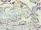 Alkaline Phosphatase, Placental antibody, LS-C375213, Lifespan Biosciences, Immunohistochemistry paraffin image 