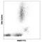 Platelet And Endothelial Cell Adhesion Molecule 1 antibody, LS-C40811, Lifespan Biosciences, Flow Cytometry image 