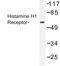 Histamine Receptor H1 antibody, LS-C177158, Lifespan Biosciences, Western Blot image 