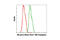 Akt antibody, 5084S, Cell Signaling Technology, Flow Cytometry image 