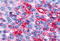 Nuclear receptor ROR-beta antibody, MBS244126, MyBioSource, Immunohistochemistry frozen image 
