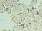 Mitochondrial import receptor subunit TOM40 homolog antibody, LS-C376905, Lifespan Biosciences, Immunohistochemistry paraffin image 