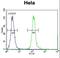 Cleavage And Polyadenylation Specific Factor 4 Like antibody, LS-C167006, Lifespan Biosciences, Flow Cytometry image 