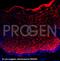 HMW Cytokeratin antibody, GP-K13, Progen Biotechnik GmbH, Immunofluorescence image 