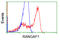 RANGAP1 antibody, TA501265, Origene, Flow Cytometry image 