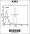 Chromosome 6 Open Reading Frame 58 antibody, 55-011, ProSci, Immunofluorescence image 
