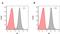 Rituximab antibody, HCA062, Bio-Rad (formerly AbD Serotec) , Enzyme Linked Immunosorbent Assay image 