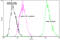 Heat Shock Protein Family A (Hsp70) Member 8 antibody, ADI-SPA-820PE-D, Enzo Life Sciences, Flow Cytometry image 