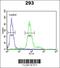 Krueppel-like factor 16 antibody, 63-672, ProSci, Flow Cytometry image 