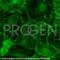 Synaptopodin antibody, GP94-IN, Progen Biotechnik GmbH, Immunofluorescence image 