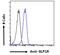 Anaphase-promoting complex subunit 11 antibody, 43-437, ProSci, Western Blot image 
