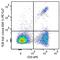 T Cell Receptor V alpha 2 antibody, 127821, BioLegend, Flow Cytometry image 