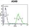 Paralemmin 3 antibody, abx026423, Abbexa, Flow Cytometry image 