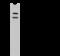 Lysyl-TRNA Synthetase antibody, 105296-T42, Sino Biological, Western Blot image 