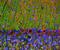 Visinin Like 1 antibody, M06959, Boster Biological Technology, Immunohistochemistry paraffin image 