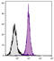 H-2K(B) antibody, 99-070, ProSci, Immunohistochemistry frozen image 