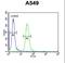 BUB1 Mitotic Checkpoint Serine/Threonine Kinase antibody, LS-C156894, Lifespan Biosciences, Flow Cytometry image 