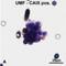 Carbonic Anhydrase 9 antibody, NB100-417, Novus Biologicals, Immunofluorescence image 