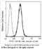 Cell surface glycoprotein MUC18 antibody, 10115-R044-F, Sino Biological, Flow Cytometry image 