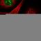 Zinc Finger CCHC-Type Containing 10 antibody, HPA038944, Atlas Antibodies, Immunofluorescence image 
