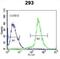 Dual specificity protein phosphatase 6 antibody, abx033957, Abbexa, Flow Cytometry image 