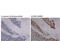 K8 antibody, ENZ-30902, Enzo Life Sciences, Immunohistochemistry paraffin image 