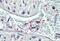 Pleckstrin antibody, MBS242351, MyBioSource, Immunohistochemistry paraffin image 