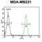 Major Histocompatibility Complex, Class I, F antibody, abx032654, Abbexa, Western Blot image 