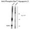 Aquaporin 2 antibody, GTX82736, GeneTex, Western Blot image 